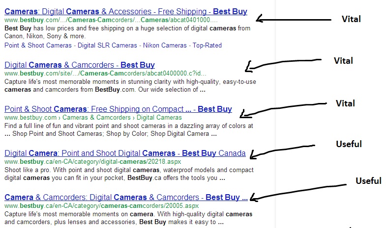 Best Buy Camera Query Evaluation by Human Raters